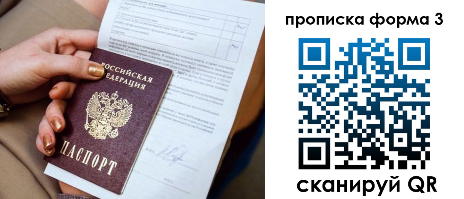 прописка поиск в Ермолино